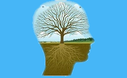 a mind with tree branches and roots
