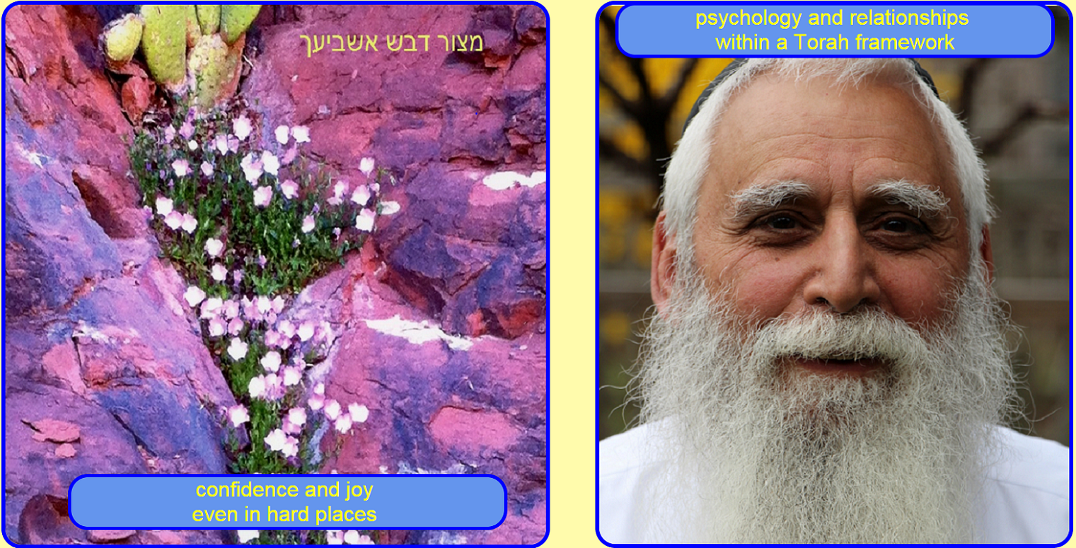 picture of Dr Susskind